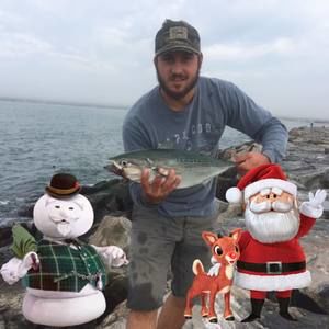 Meet your Posher, Frank